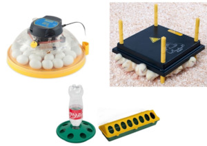 Brinsea Incubators: Brinsea  Maxi II Eco Incubator Starter Combo #2