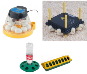 Brinsea Incubators: Brinsea Mini II Eco Incubator Starter Combo #1