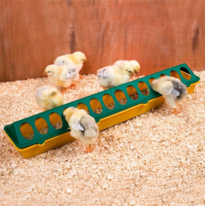 Chick Feeder Trough 500mm 28 Hole