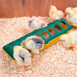 Chick Feeders Drinkers: Chick Feeder Trough 300mm 16 Hole