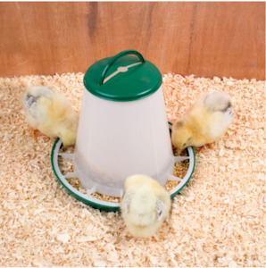 Chicks Feeder 1kg with Handle & Cover