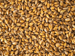 Food: Topflite Wheat 1kg (Pick N Mix)