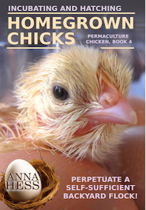 Incubating and hatching Homegrown chicks
