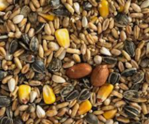 Best Selling Collection: Topflite Parrot Mix 10kg