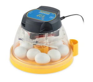 Incubators Breeding: Brinsea Mini Eco Incubator + Semi Automatic Turning Kit Combo