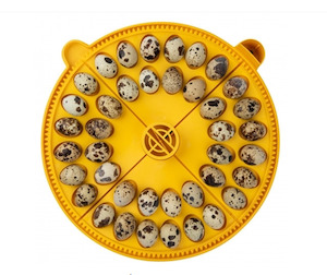 Incubator Spares: Maxi small egg quadrants (40 small quail eggs)