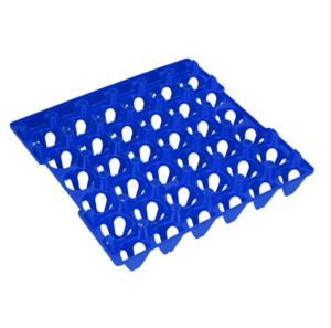 Plastic Egg Tray Single - Blue