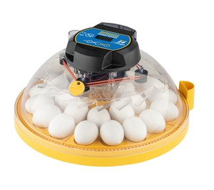 Incubators Breeding: Maxi 24 Zoologica Exotic egg incubator