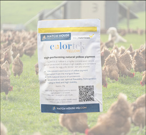 Whats New: Colortek Yellow - Natural high performing yellow pigments for egg yolks