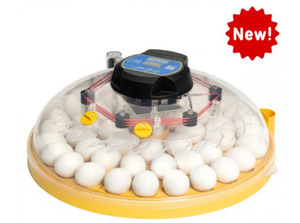 Whats New: Brinsea NEW Maxi 48 EX Incubator