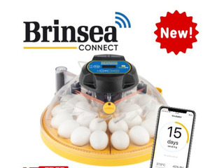 Whats New: Brinsea Maxi 24 EX Connect App Controlled Incubator