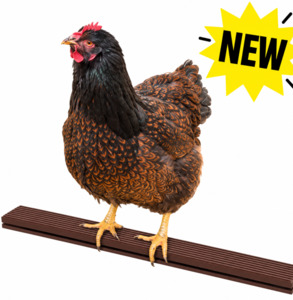 Whats New: Poultry perch brown 100 cm – set of 2