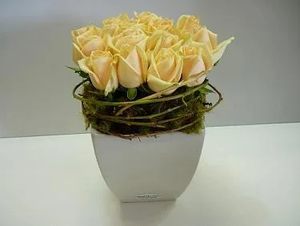 Products: Stunning Champagne