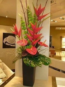 Products: Simply Tropical