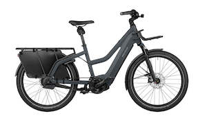 High Speed: Riese and Muller Multicharger2 Mixte