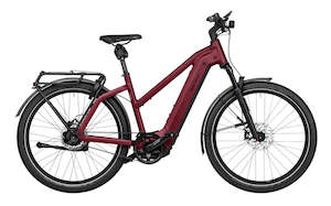 High Speed: Riese and Muller Charger4 Mixte
