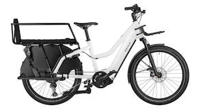 Riese And Muller: Riese and Muller Multicharger2 Mixte GT Touring HS