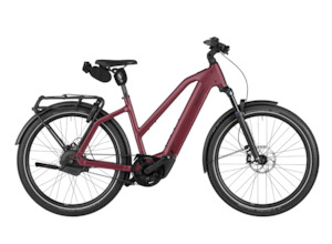 Riese and Muller Charger5 Mixte