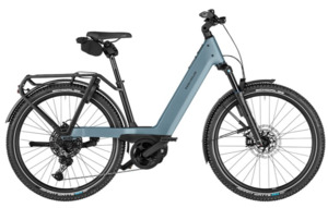 Trail Bikes: Riese and Muller Nevo5