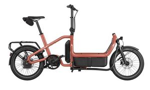 Riese and Muller Carrie2 Automatic - Coral