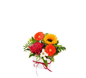 Vivid Posy Box