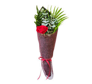 All: Single Rose