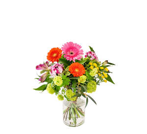 Petite Bouquets: Vivid Petite Bouquet