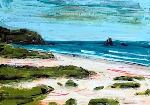 Products: Sandfly Bay (Dunedin) - Christian Nicolson Art