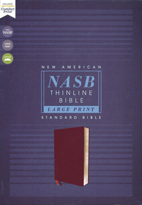 Other English Versions: NASB Large-Print Thinline Bible, Red Letter Edition--bonded leather, burgundy. Christian Resource Centre
