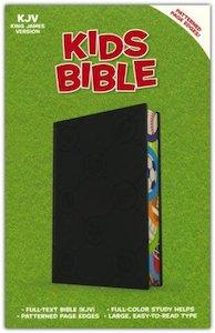 KJV Kids Bible sports leathertouch Ages 7-12. 12 point type