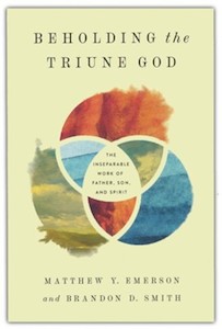 Beholding the Triune God: The Inseparable Work of Father, Son, and Spirit