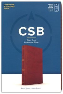 Bibles: CSB Giant Print Reference Bible Digital Study Edition burnt sienna leathertouch 13 point font