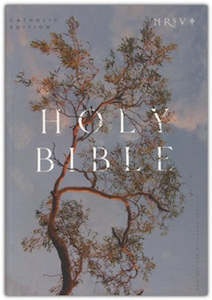 Bibles: NRSV Catholic Edition Bible, Eucalyptus Softcover Clear and readable 8.5 print
