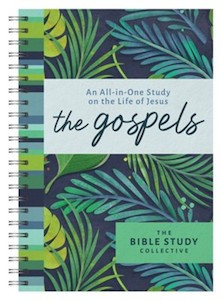 Bible Studies: Gospels, The: An All in One Study on the Life of Jesus