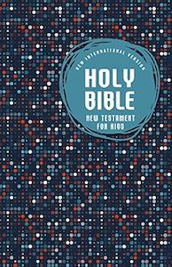 NIV Holy Bible New Testament for Kids 8-point font size
