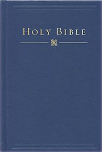 Hcsb: HCSB Pew Bible Slate Blue Hardcover