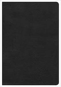Hcsb: HCSB Large Print Ultrathin black leathertouch INDEXED
