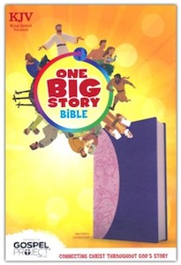 Kjv Children: KJV One Big Story pink/purple leathertouch
