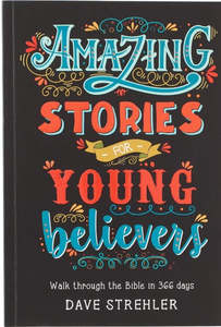 Bible Storybooks: Amazing Stories for Young Believers Ages 8-12