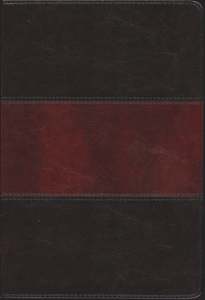 Hcsb: HCSB Large Print Ultrathin Saddle Brown Leathertouch. Holman Christian Standard Bible