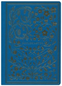 ESV Illuminated Scripture Journal Ecclesiastes