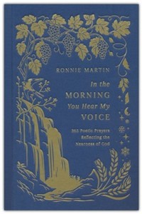 In the Morning You Hear My Voice: 365 Poetic Prayers Reflecting the Nearness of God