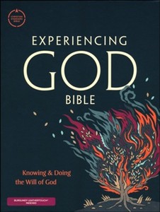 CSB Experiencing God Bible Burgundy LeatherTouch INDEXED 9.5 point font