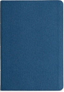 Bibles: CSB Men's Daily Bible blue leathertouch 9 point font