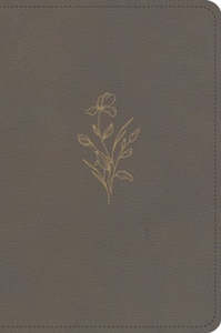 Kjv: KJV Large Print Compact Reference Bible clay leathertouch 8 point font
