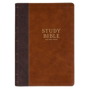 KJV Bible Study Bible Large Print Brown and Honey Faux Leather INDEXED 11 point font