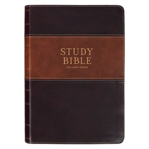 KJV Bible Study Bible Brown Two-tone Faux Leather INDEXED 9.8 point font