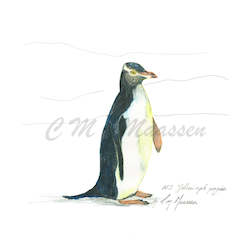 Prints: Yellow Eyed Penguin Print A4 / A3