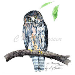 Prints: Morepork Print A4 / A3