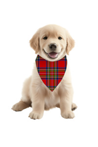 Luxe Bamboo Red Tartan Dog Bandana